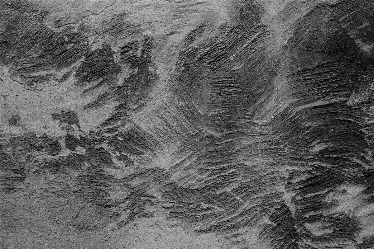 Papier peint bandes décoratives dans les tons clairs et foncés