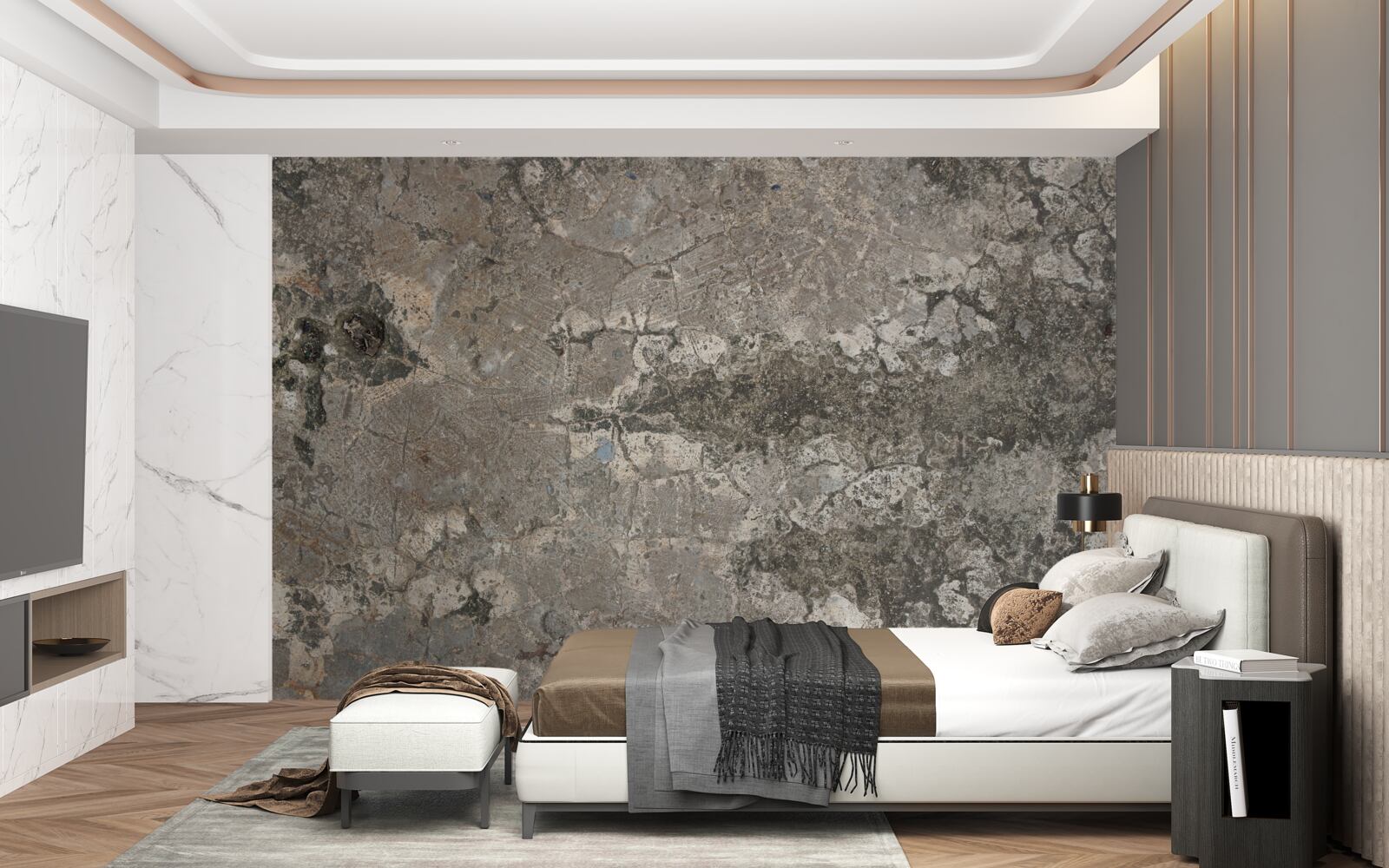 Papier peint roche granitique grise