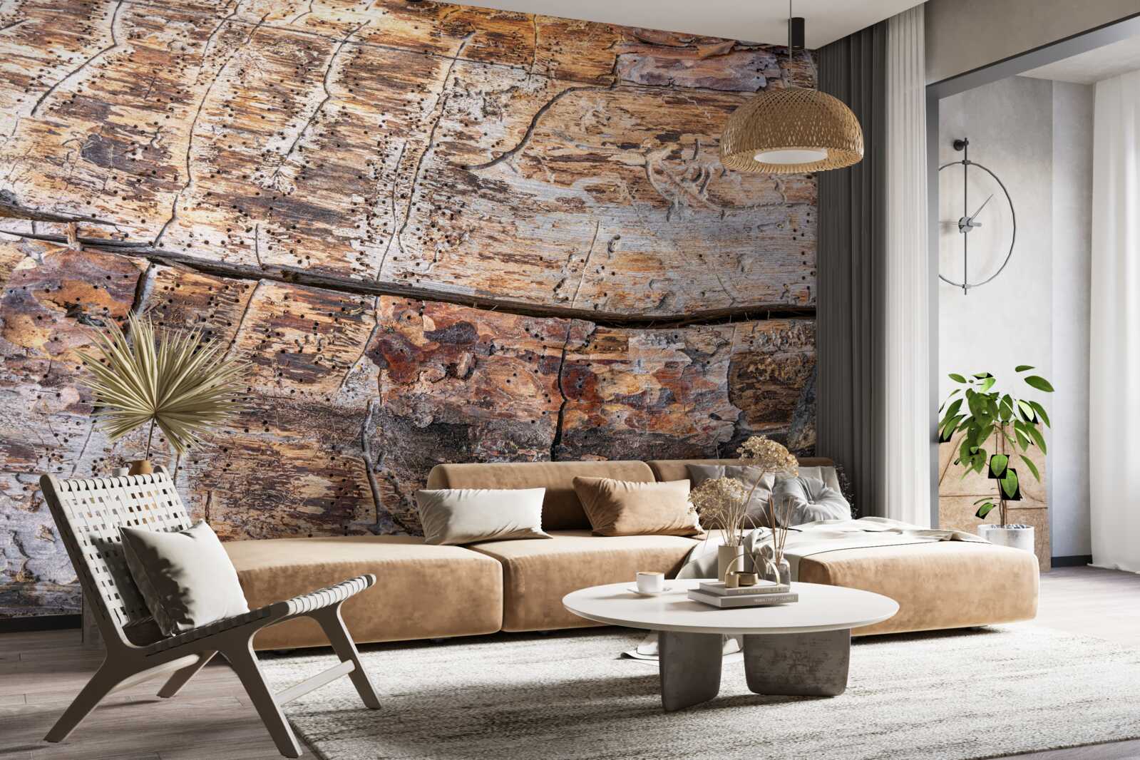 Papier peint structure du bois pourri