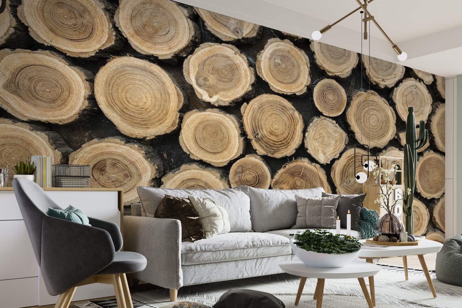 Papier peint arbres tombés en forme de cercle