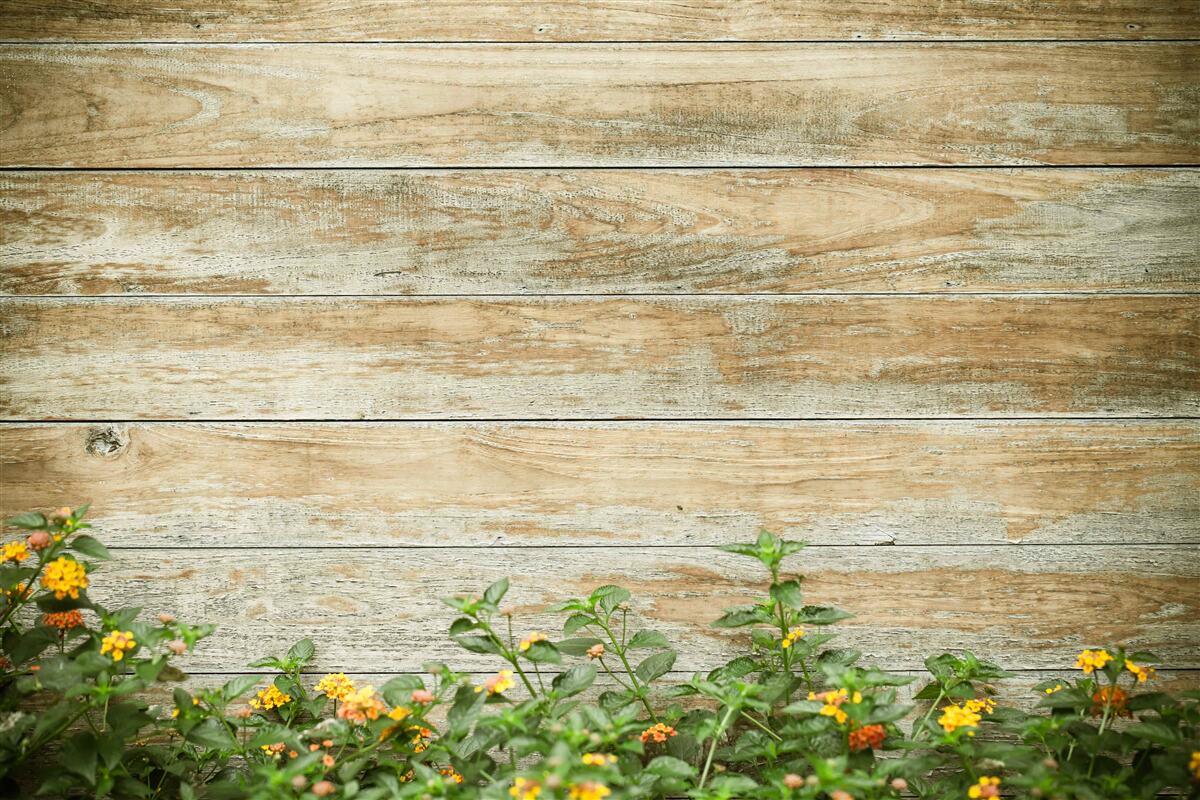 Papier peint fleurs jaunes sur fond de parquet entouré de verdure