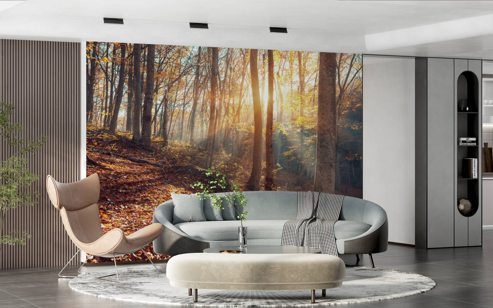 Papier peint la forêt matinale enveloppée de brume ressent la chaleur du soleil