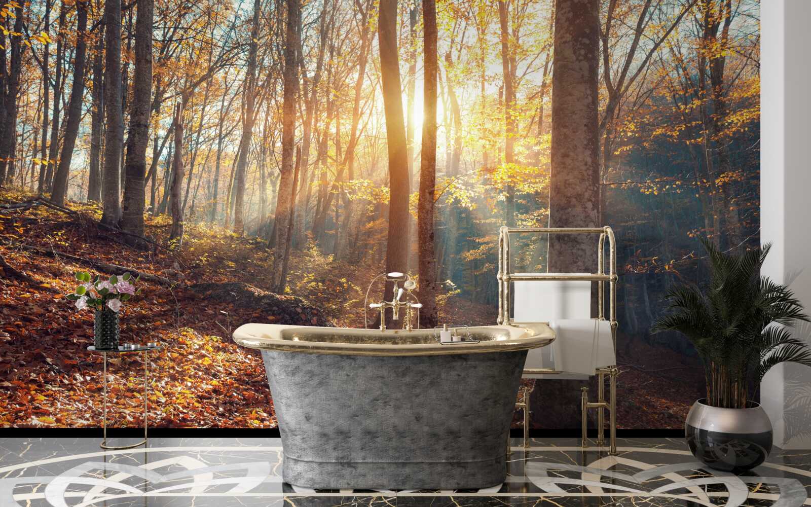 Papier peint la forêt matinale enveloppée de brume ressent la chaleur du soleil