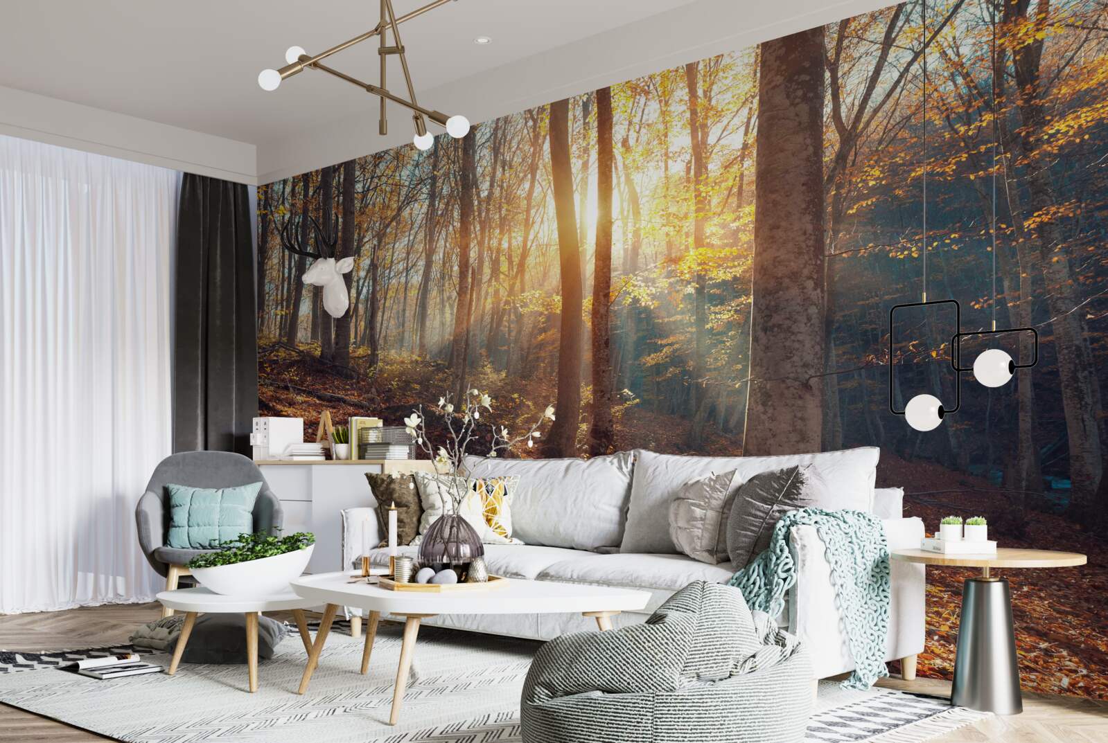 Papier peint la forêt matinale enveloppée de brume ressent la chaleur du soleil