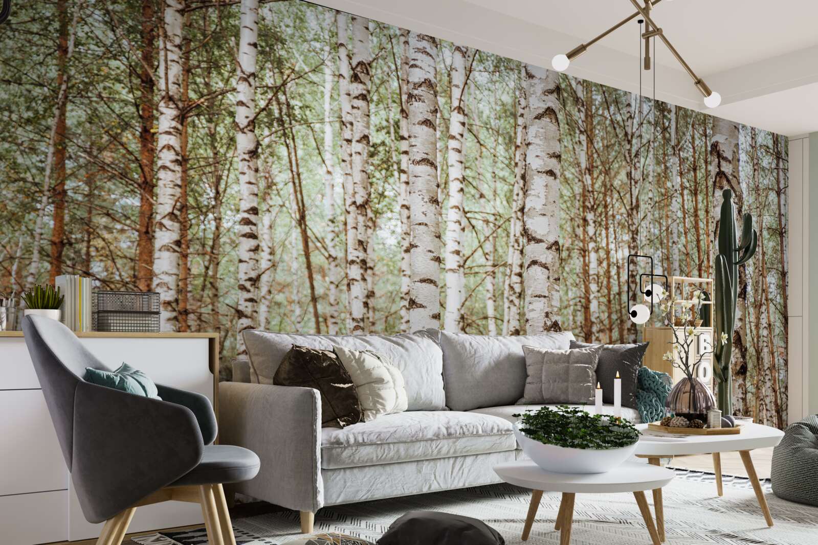 Papier peint les bouleaux de traîneau se dressent dans une forêt verdoyante