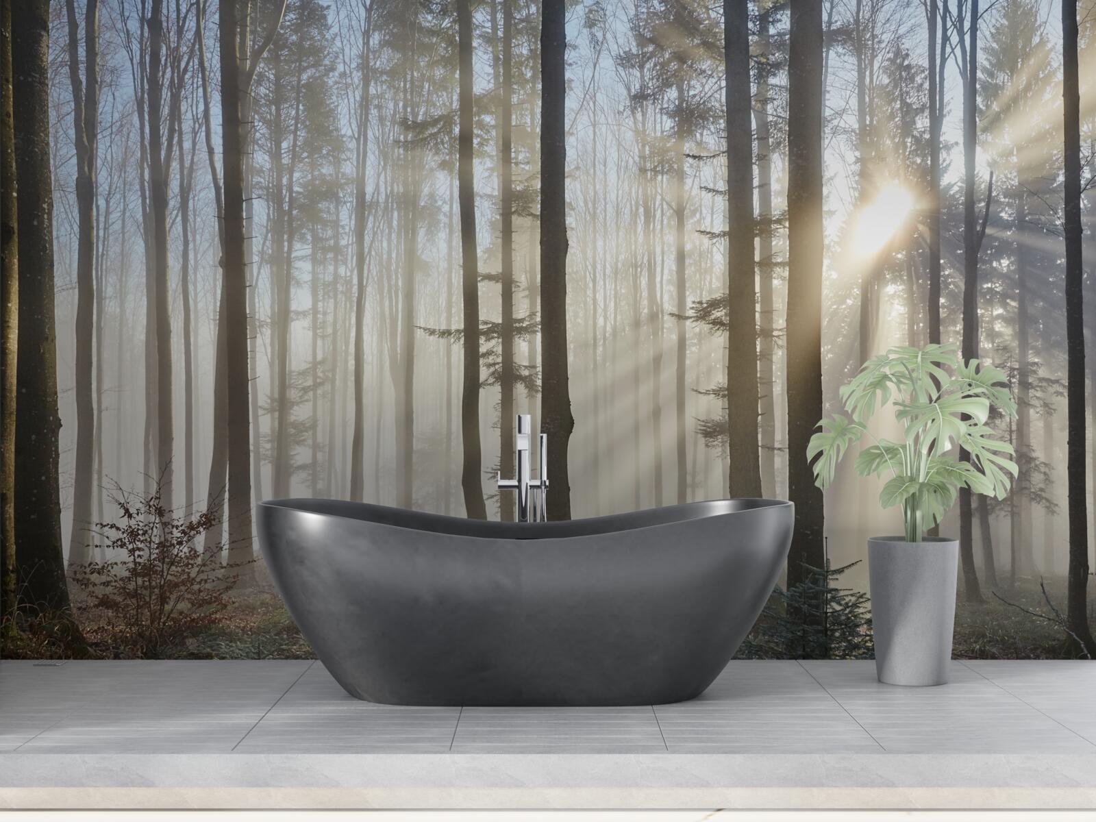 Papier peint les rayons du soleil percent la brume dans un bosquet d'arbres