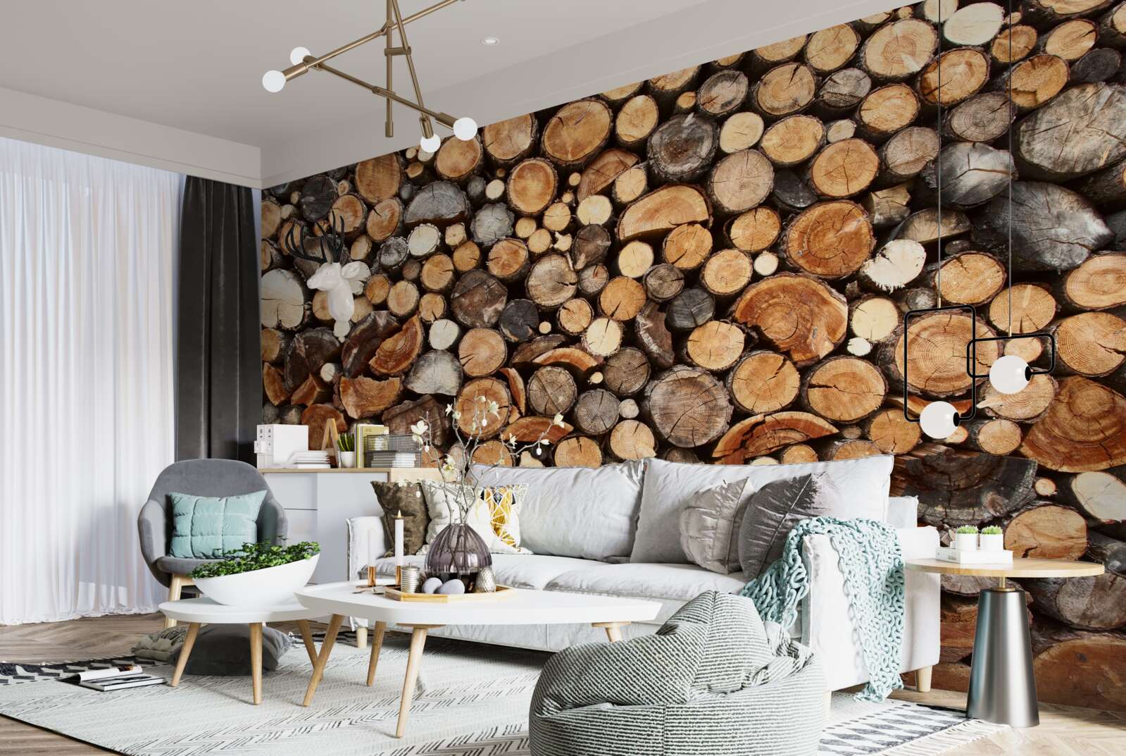 Papier peint tranches d'arbres de différentes couleurs