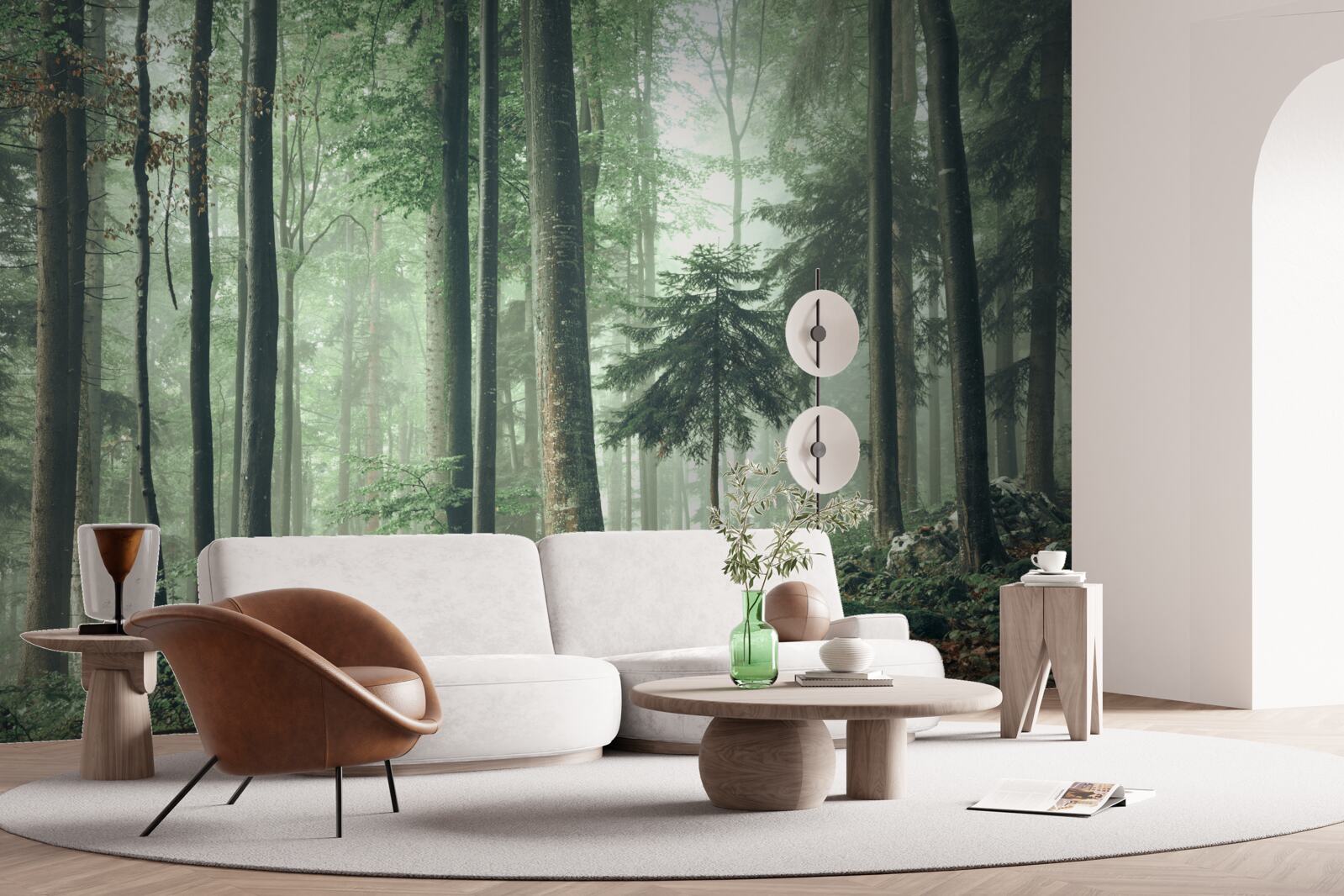 Papier peint Lumière à travers la brume dans une forêt d'arbres à feuilles caduques