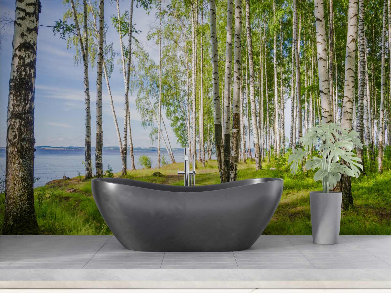 Papier peint clairière de bouleaux près du lac, entourée de verdure