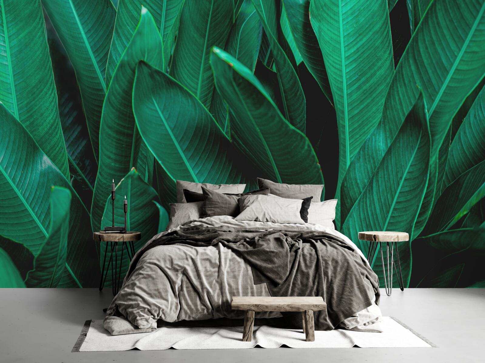 Papier peint fougère avec une légère teinte émeraude