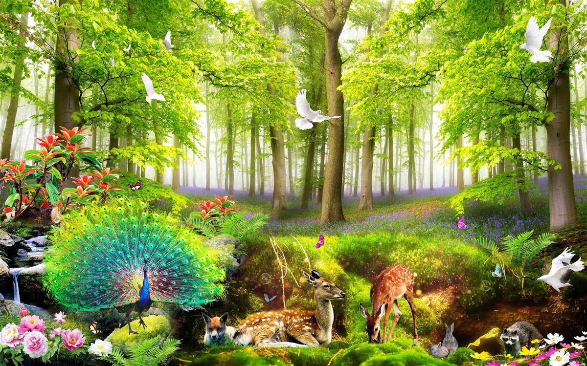 Papier peint faune des forêts vertes d'été