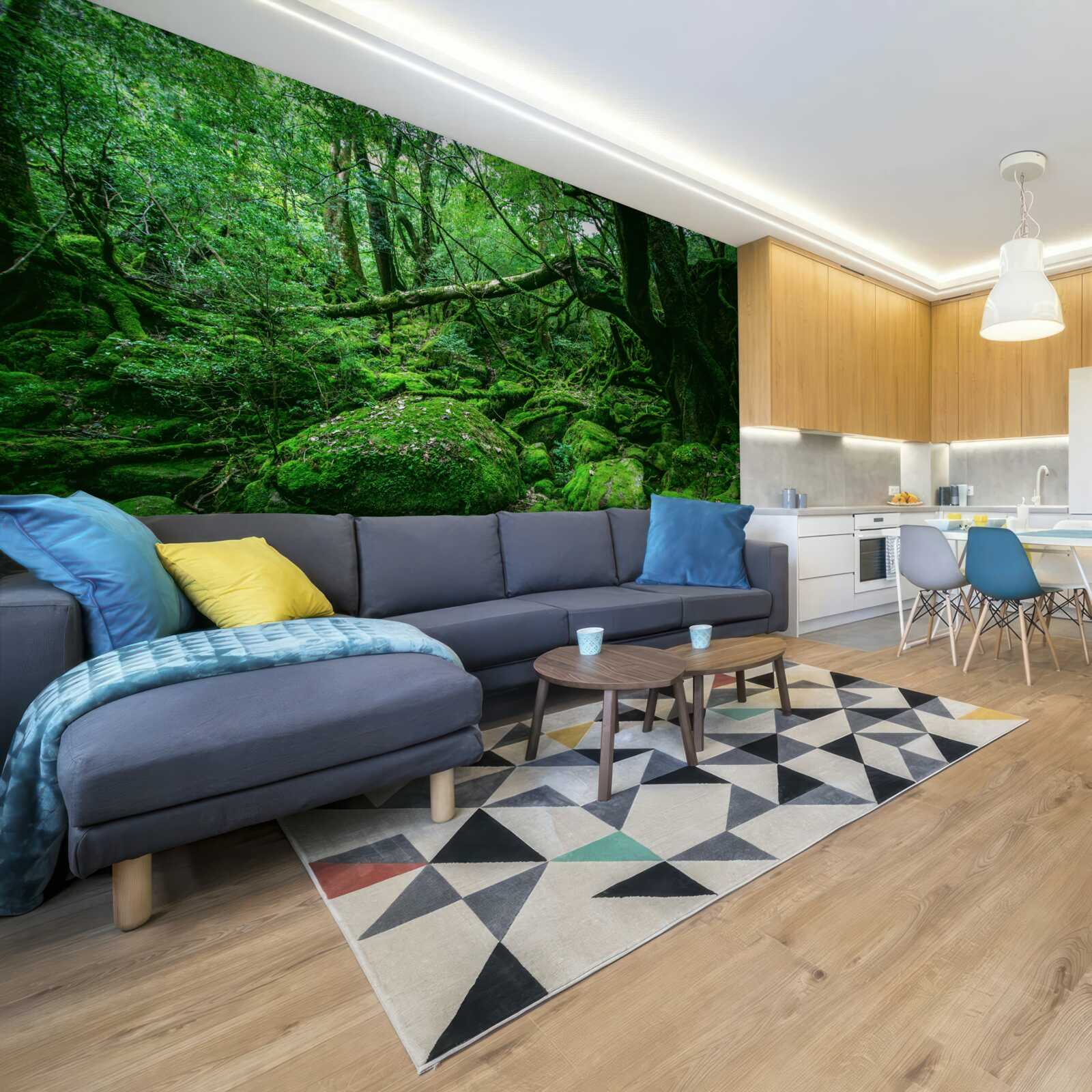 Papier peint forêt, abondamment verte, sans soleil