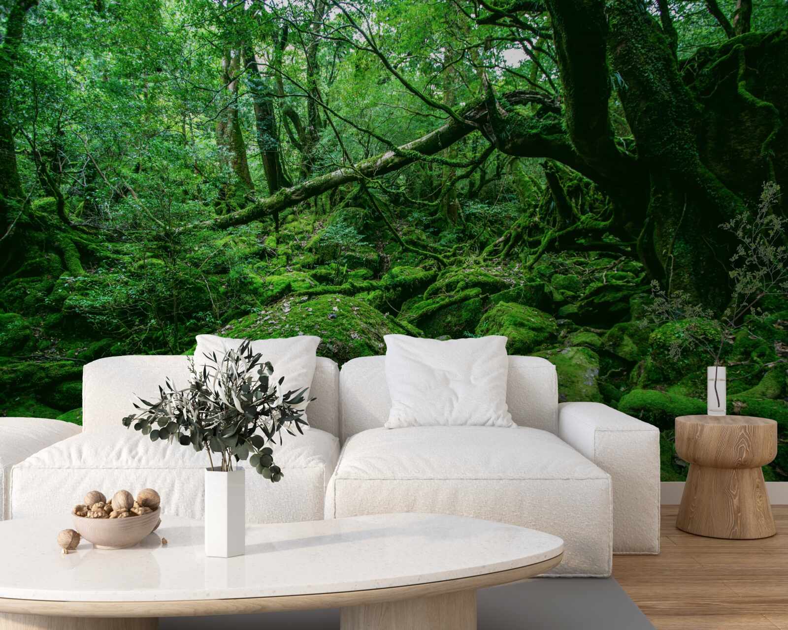 Papier peint forêt, abondamment verte, sans soleil