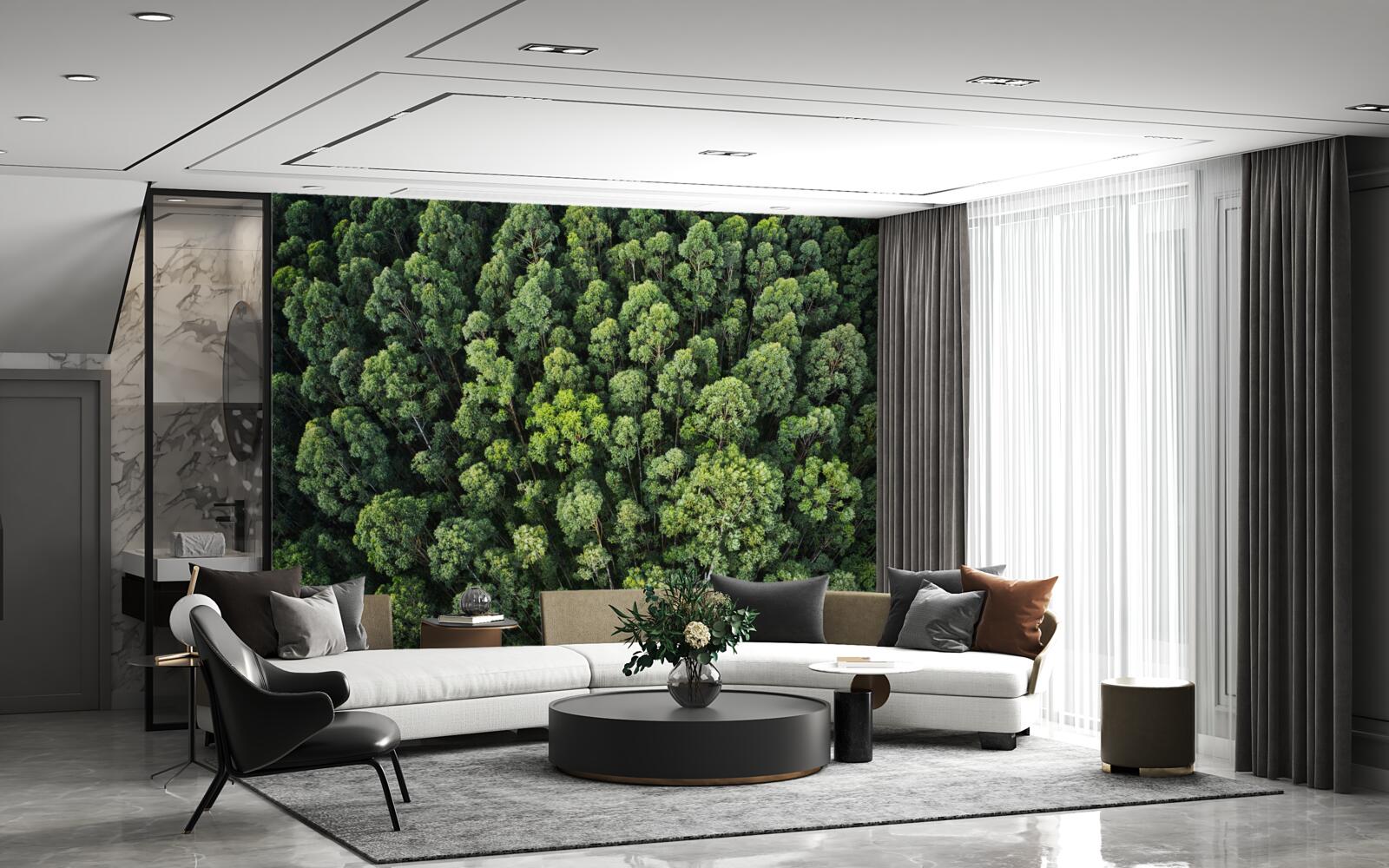 Papier peint arbres forestiers avec des couronnes vertes