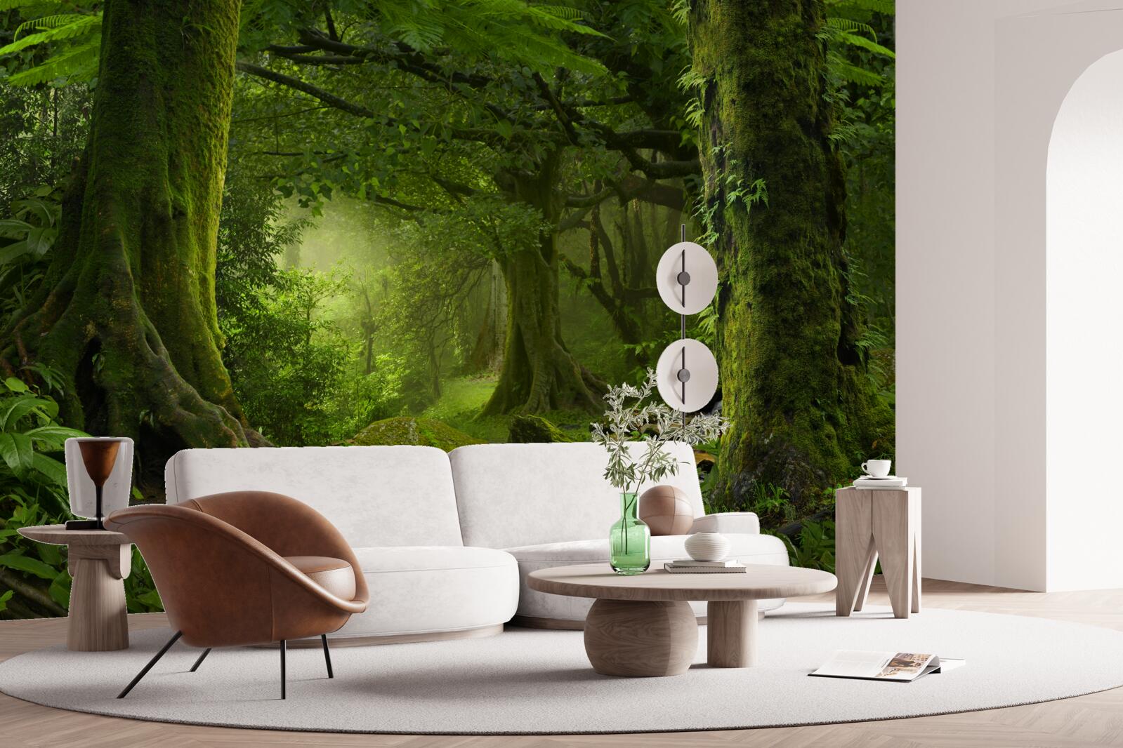 Papier peint cascade dans une forêt de feuillus verdoyante