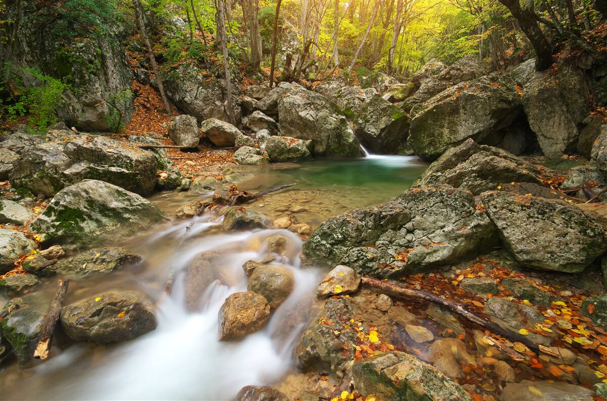 Papier peint débit de la rivière en automne