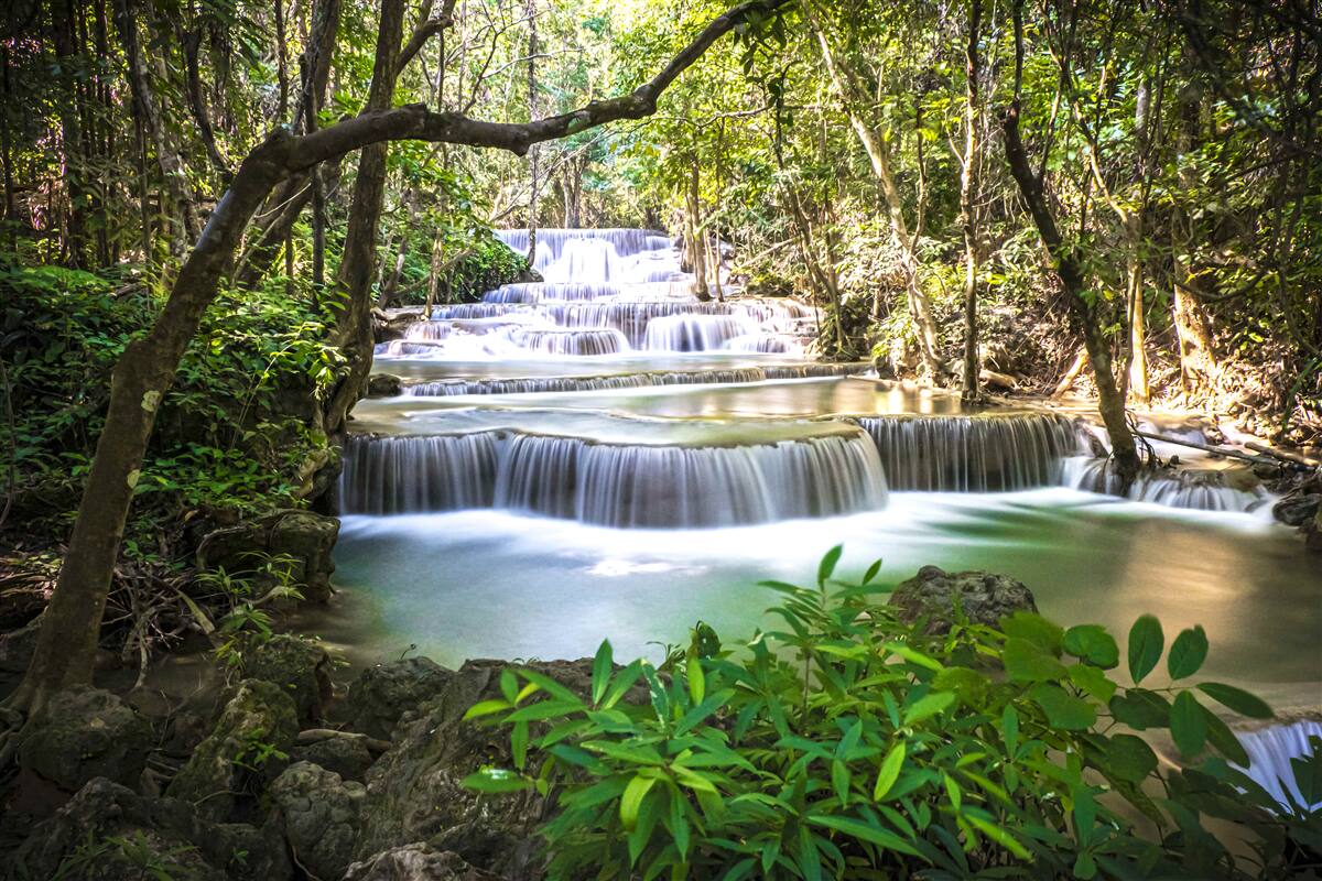 Papier peint chutes d'eau en forêt à l'aube