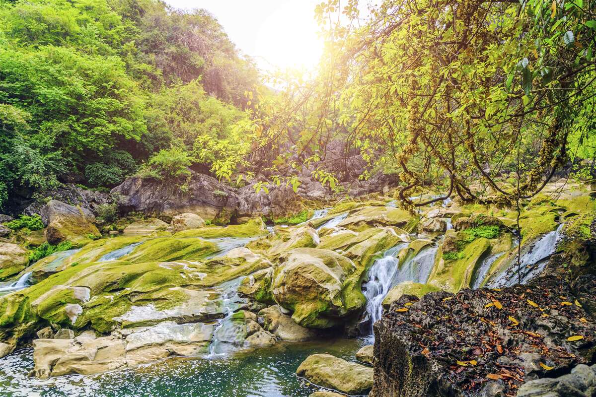 Papier peint lever de soleil sur la rivière avec sa nature colorée