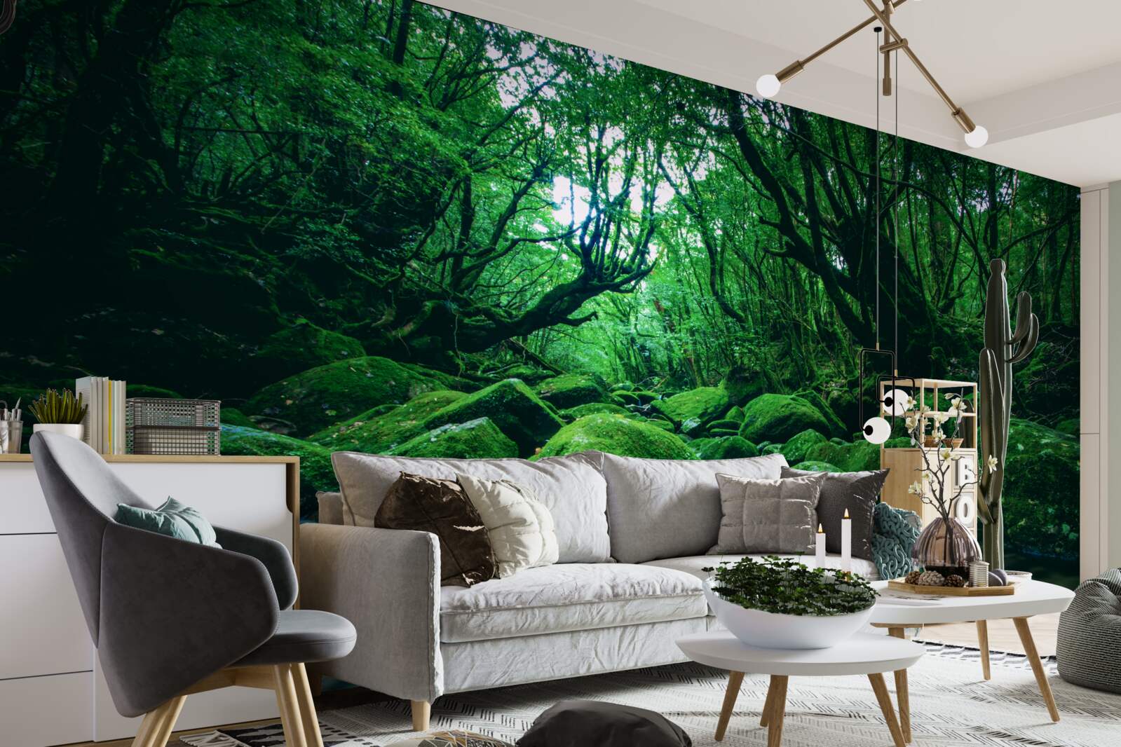 Papier peint forêt plongée dans le sommeil au pied d'une cascade