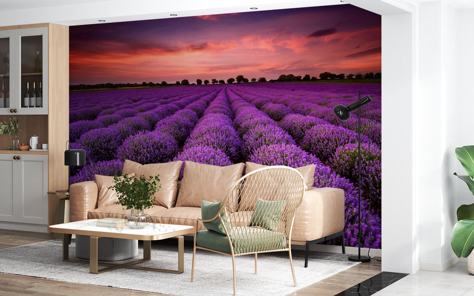 Papier peint un magnifique champ de lavande