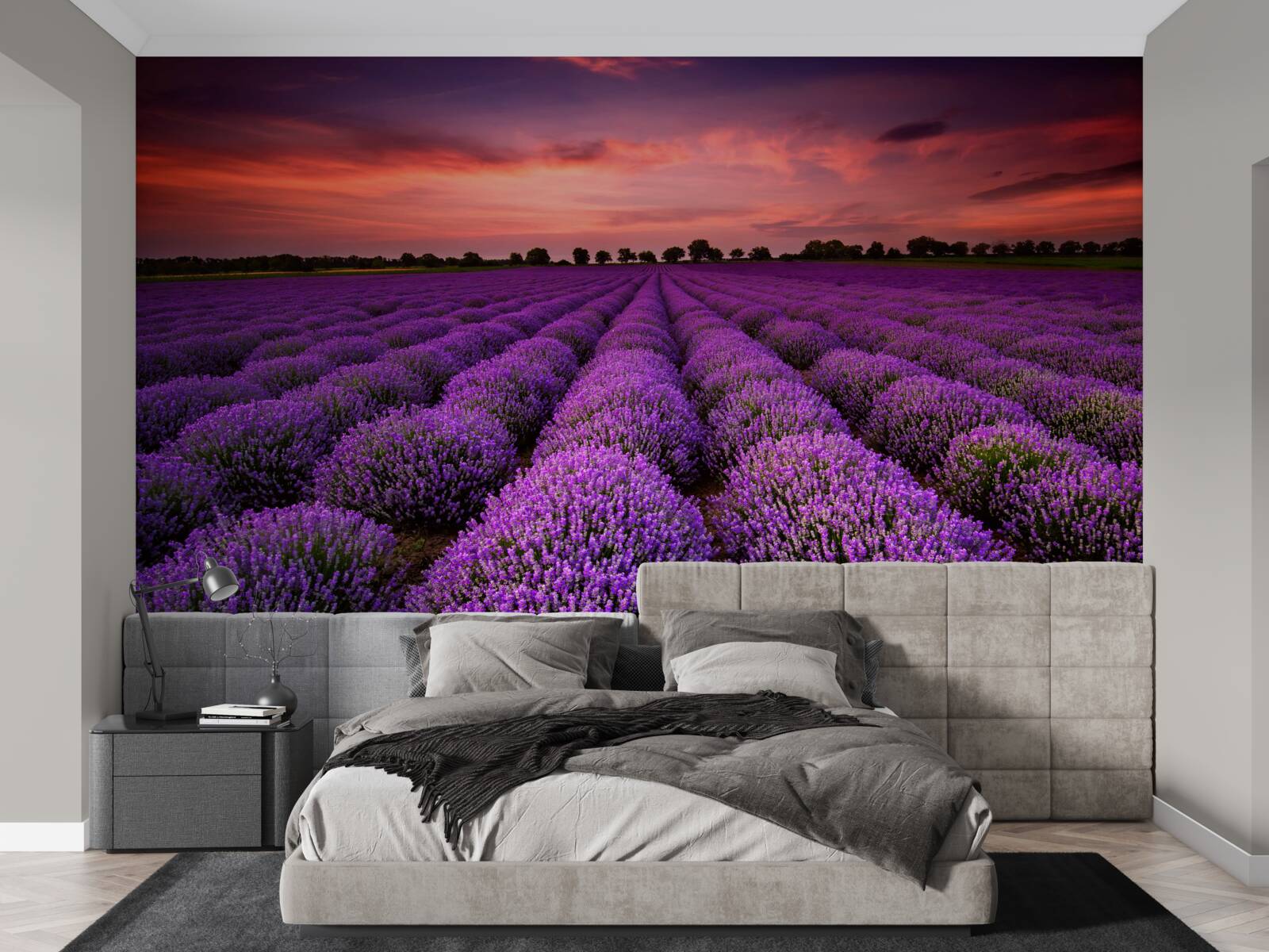 Papier peint un magnifique champ de lavande