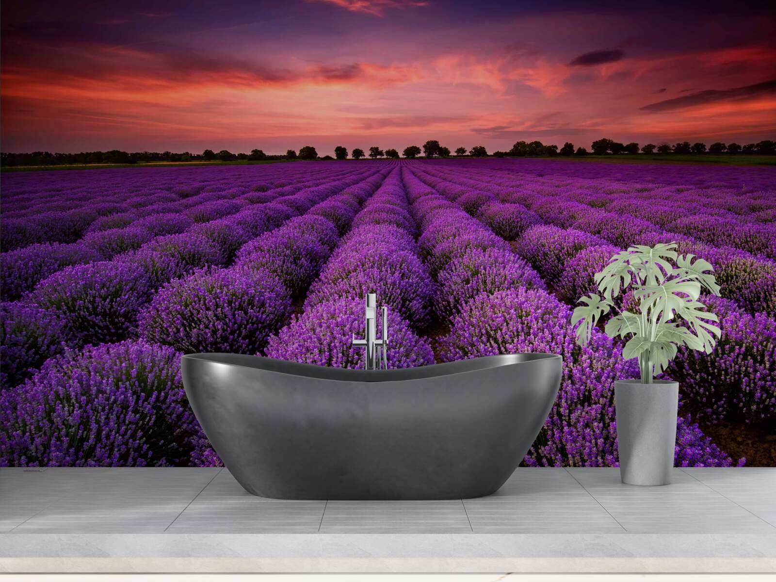 Papier peint un magnifique champ de lavande
