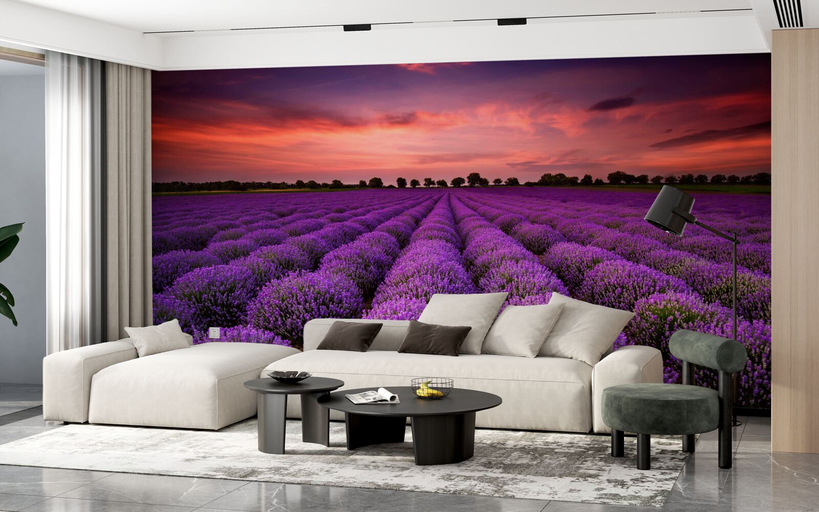 Papier peint un magnifique champ de lavande