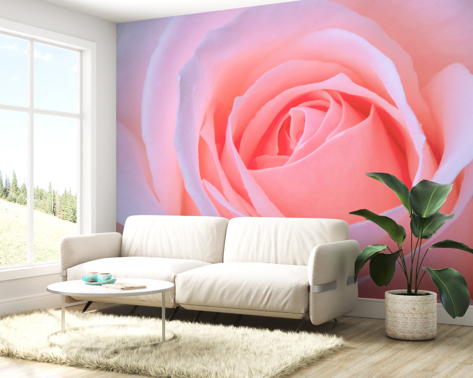 Papier peint rose délicate avec de beaux pétales roses