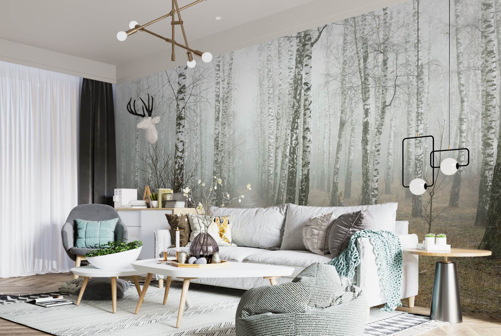 Papier peint Un sentier à travers une forêt brumeuse pleine de bouleaux