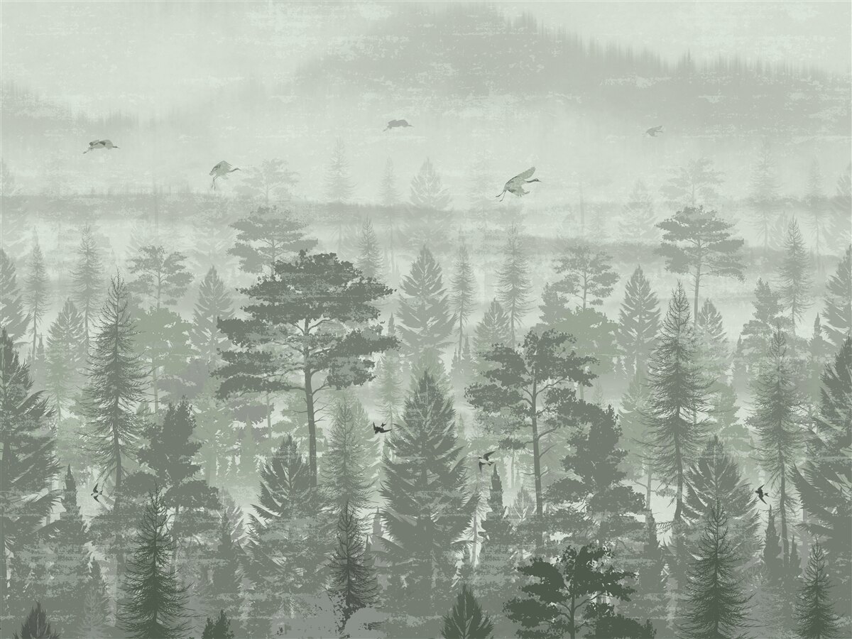 Papier peint la forêt tropicale pendant les périodes de fortes pluies