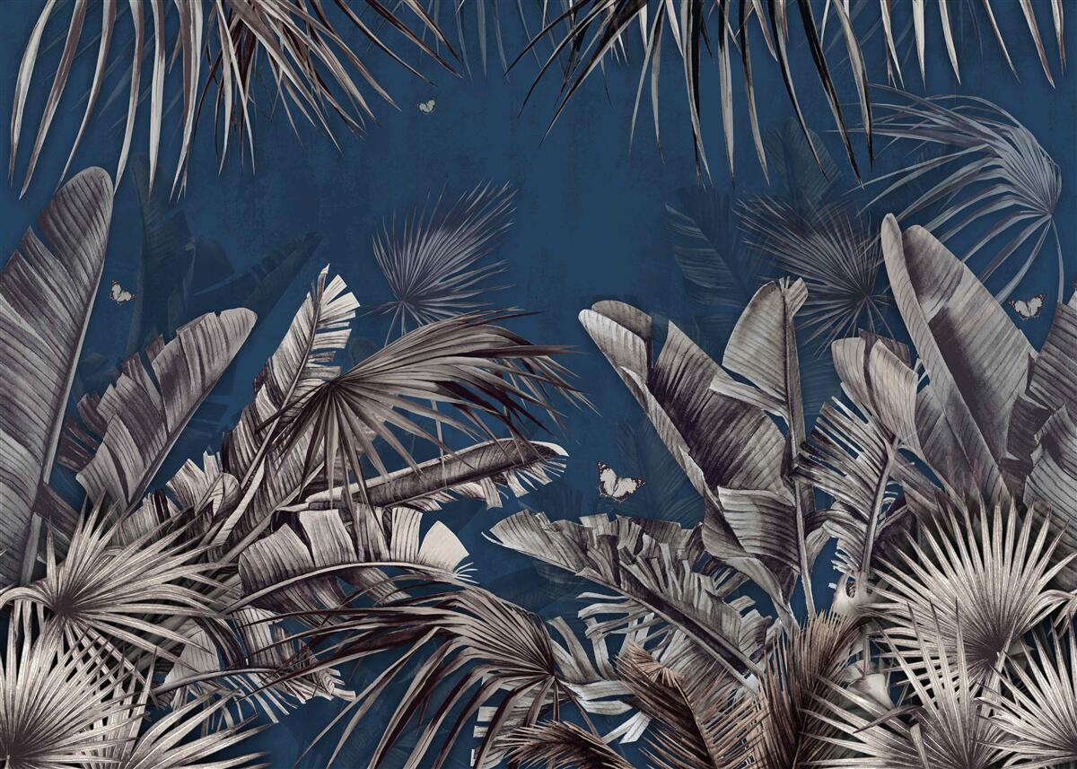 Papier peint la nuit tombe sur la fougère