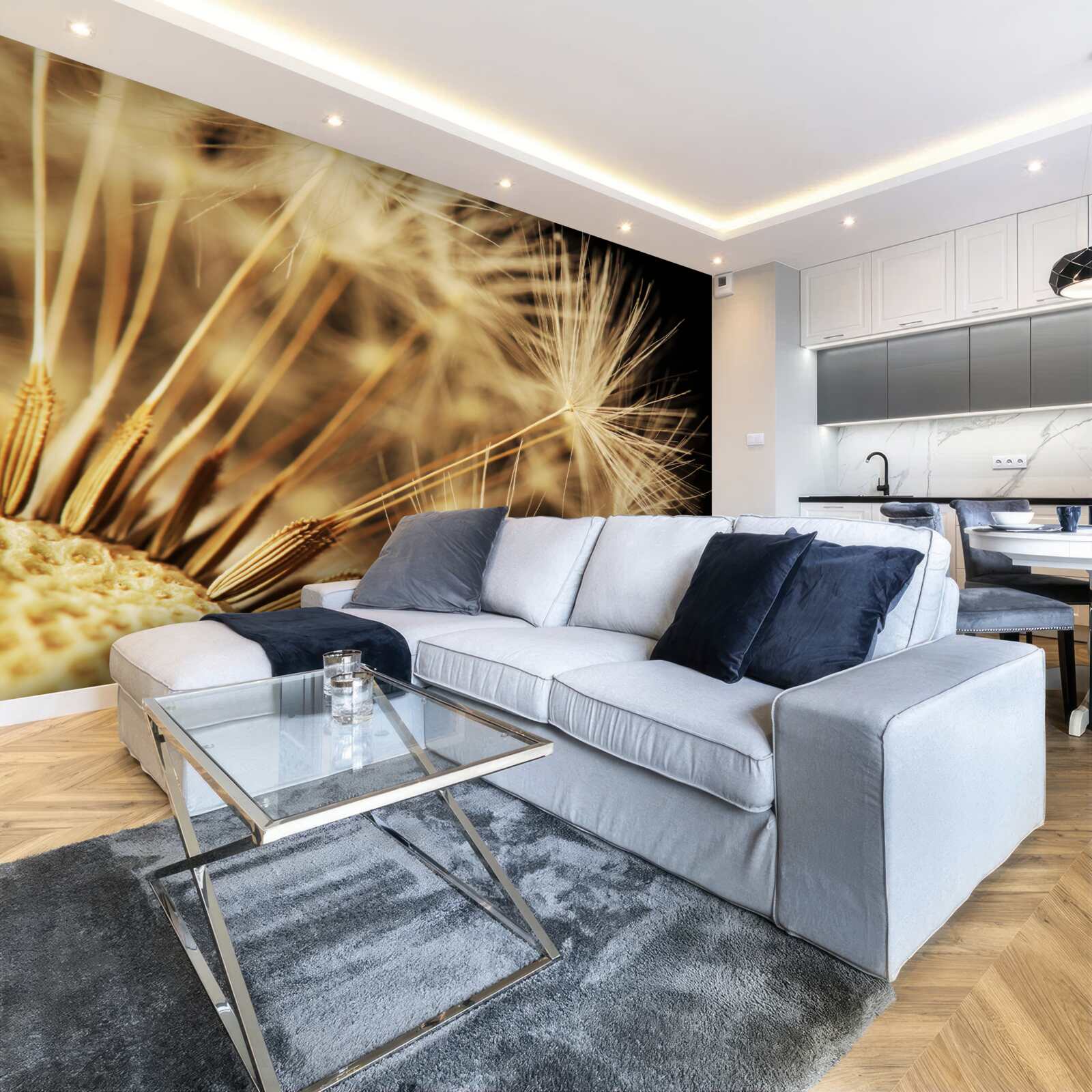 Papier peint les fleurs de pissenlit sont blanches sur fond noir