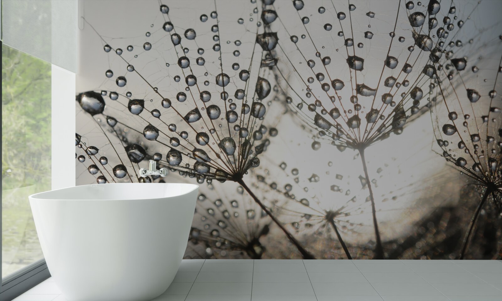 Papier peint pissenlit pluvieux