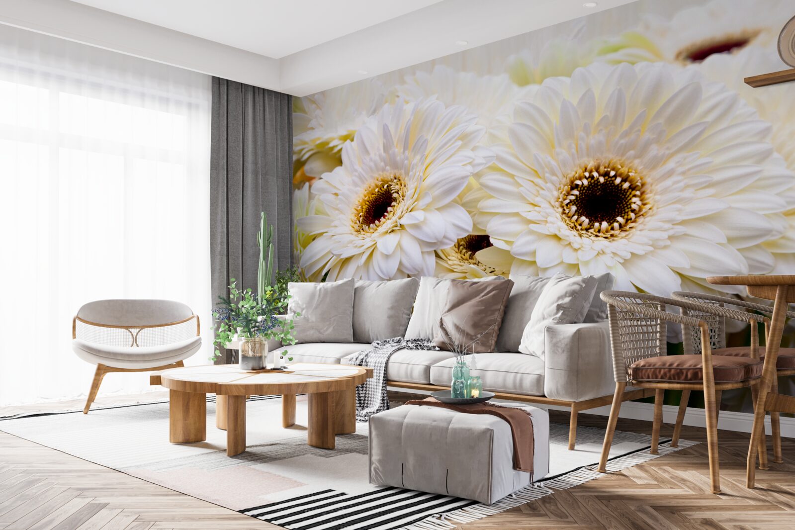 Papier peint collection de gerberas blancs comme neige