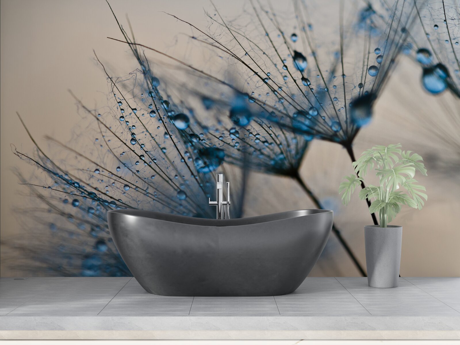 Papier peint rosée du matin sur les pissenlits aériens