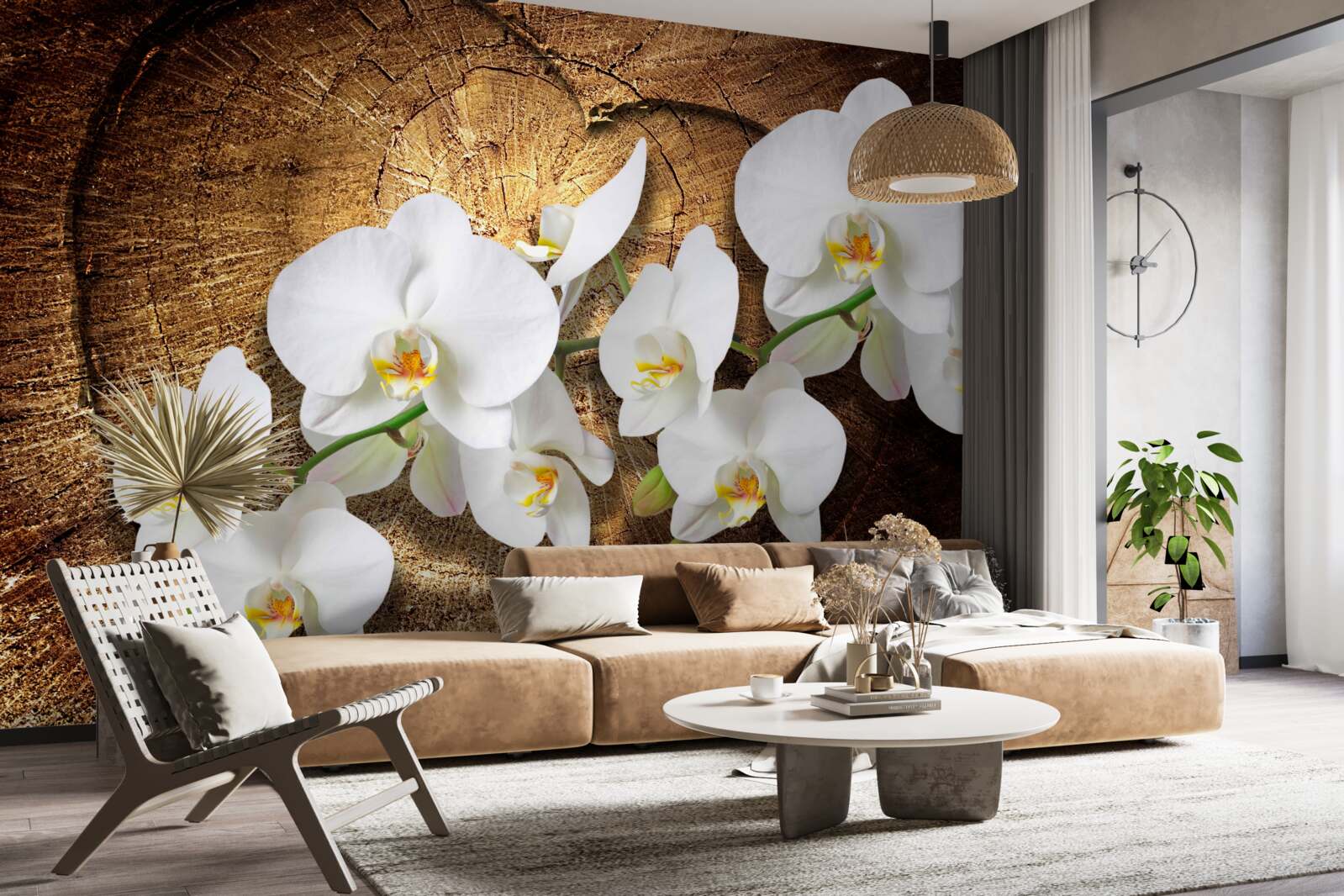 Papier peint Orchidée blanche sur un tronc d'arbre coupé