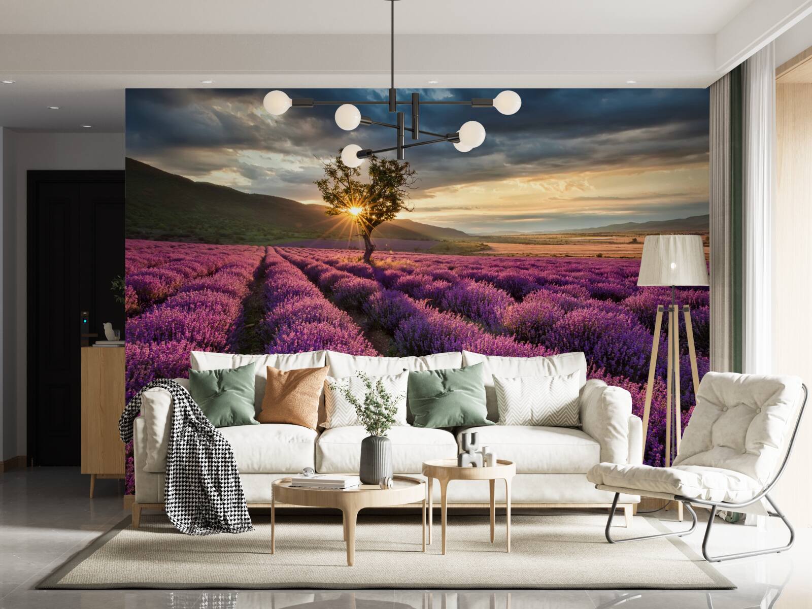 Papier peint coucher de soleil sur un champ de lavande entourant un arbre isolé