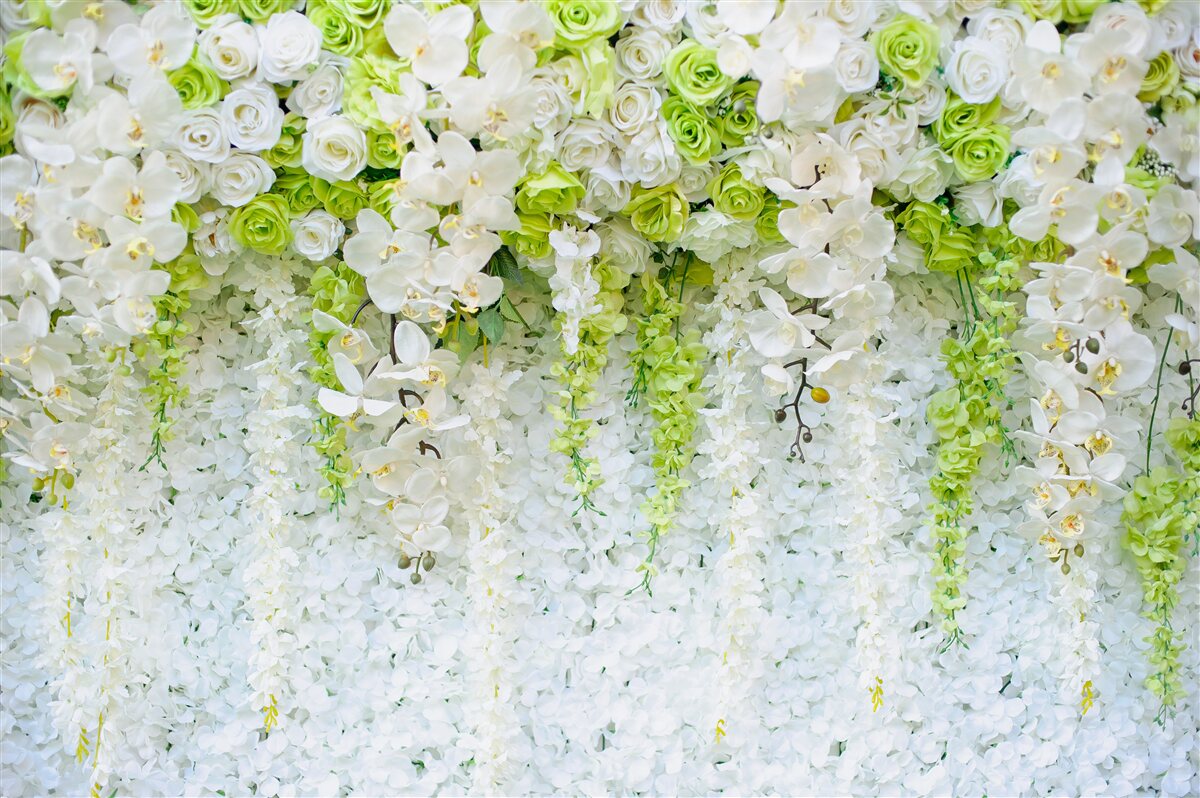 Papier peint des orchidées blanches recouvrent le mur d'un tapis floral