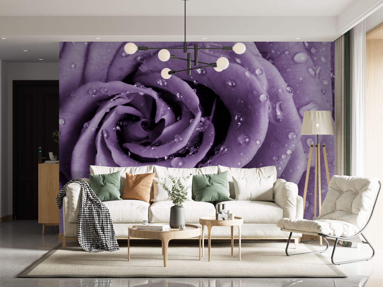 Papier peint rosée du matin sur une rose violette