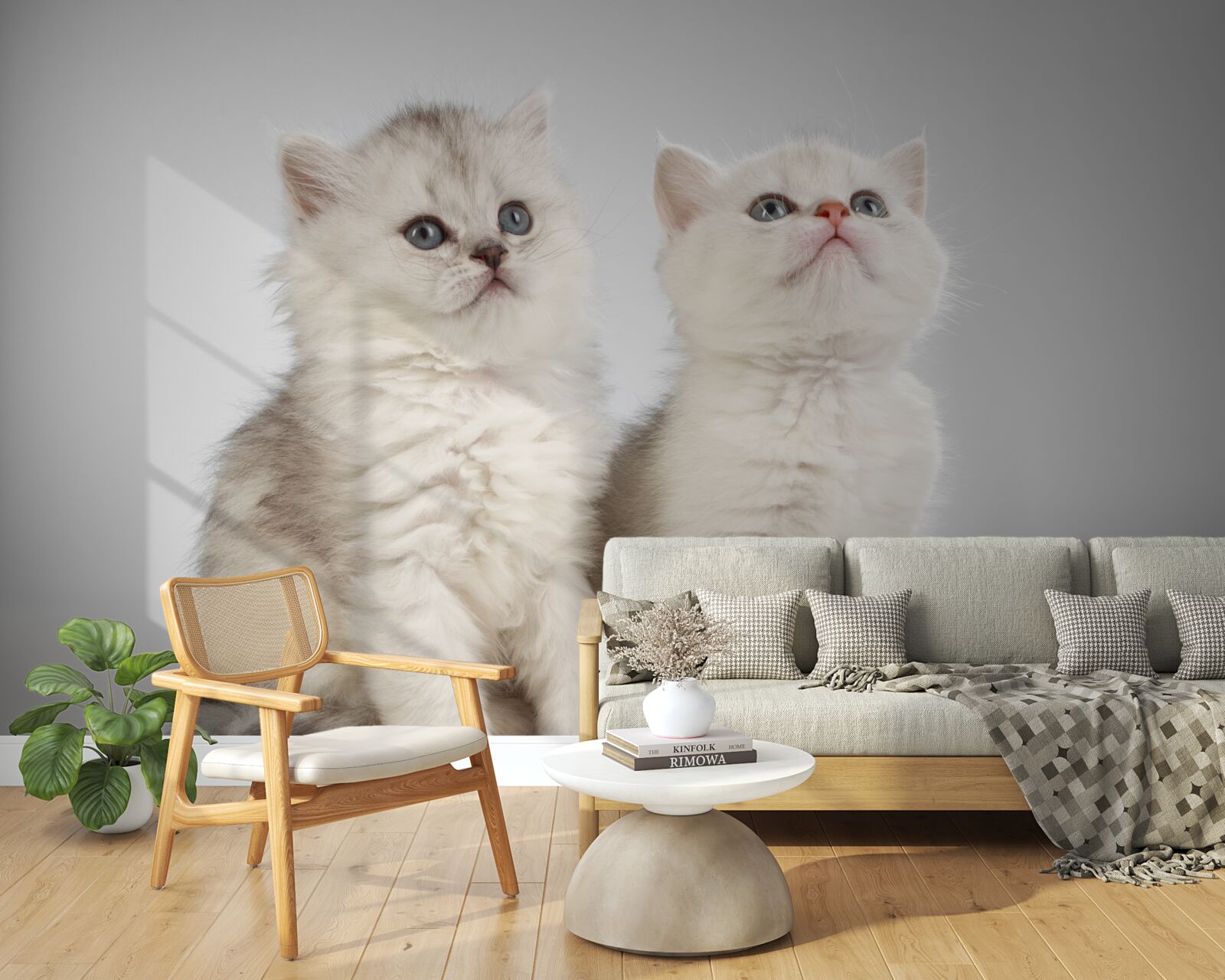 Papier peint observer deux petits chats