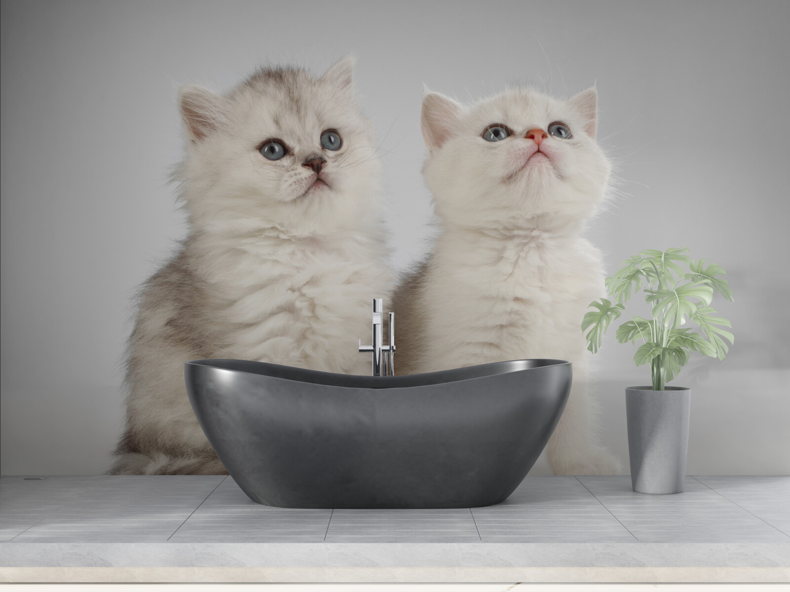 Papier peint observer deux petits chats