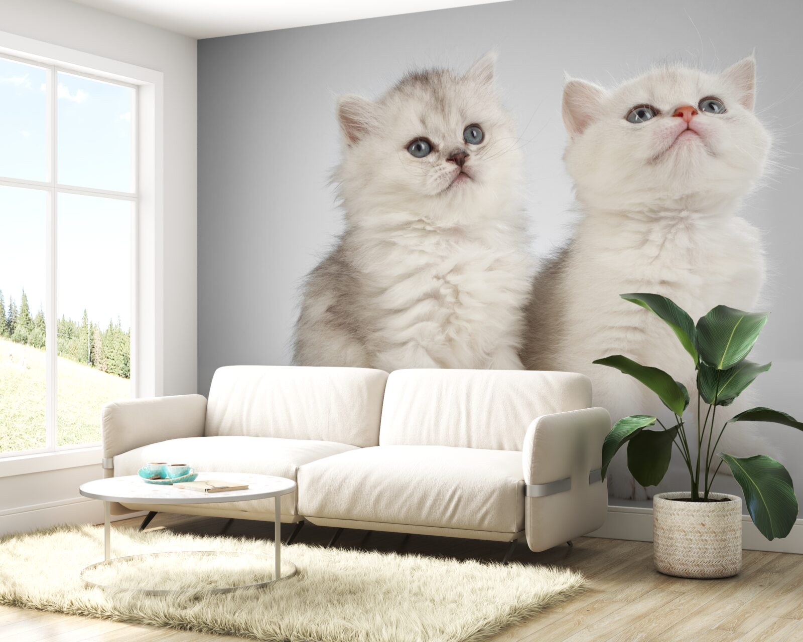 Papier peint observer deux petits chats