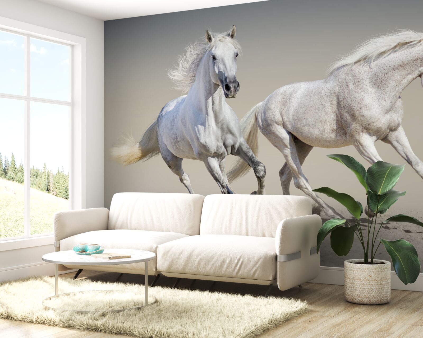 Papier peint deux étalons légers s'affrontent sur une surface sablonneuse