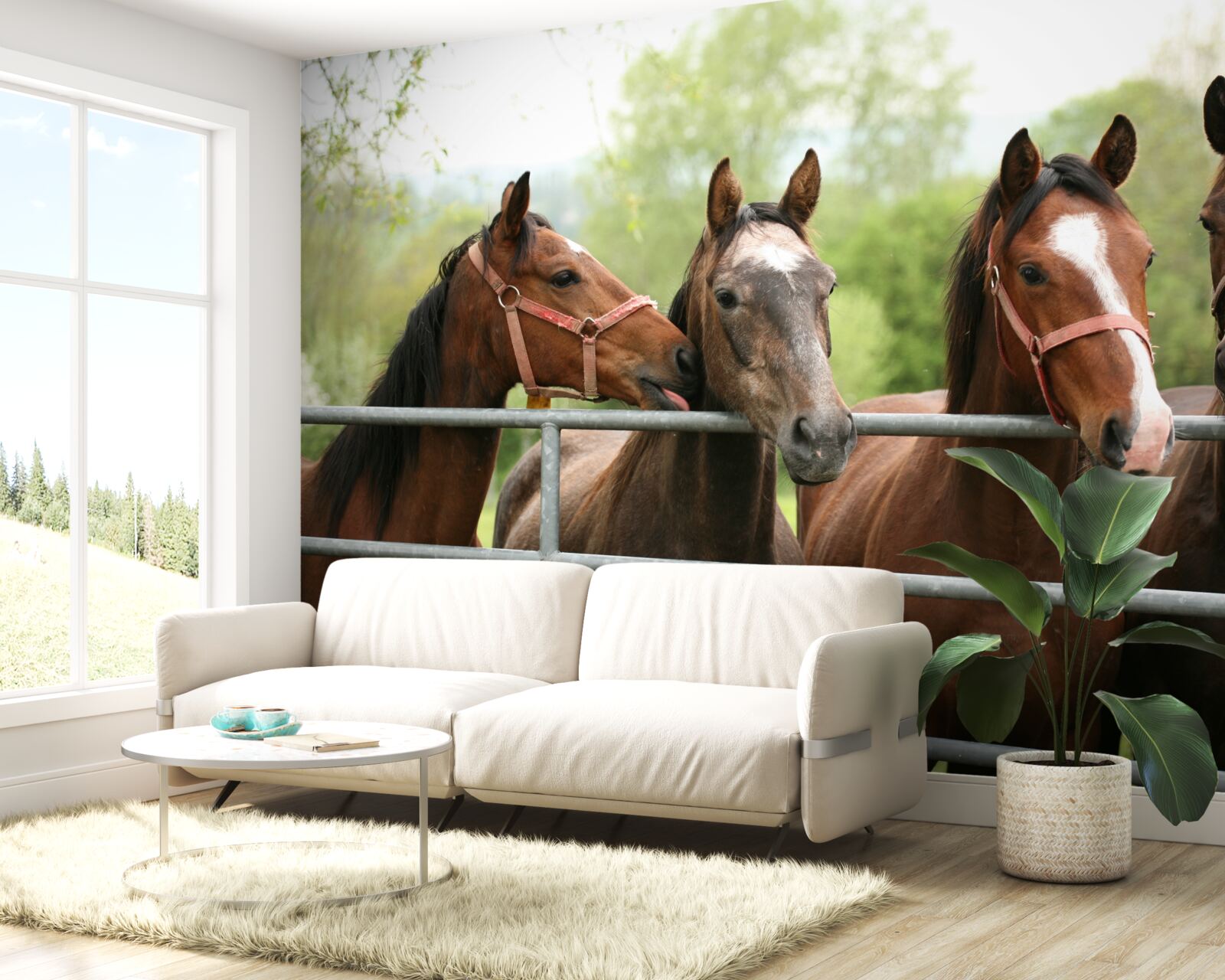 Papier peint il y a quatre chevaux bruns dans l'enclos