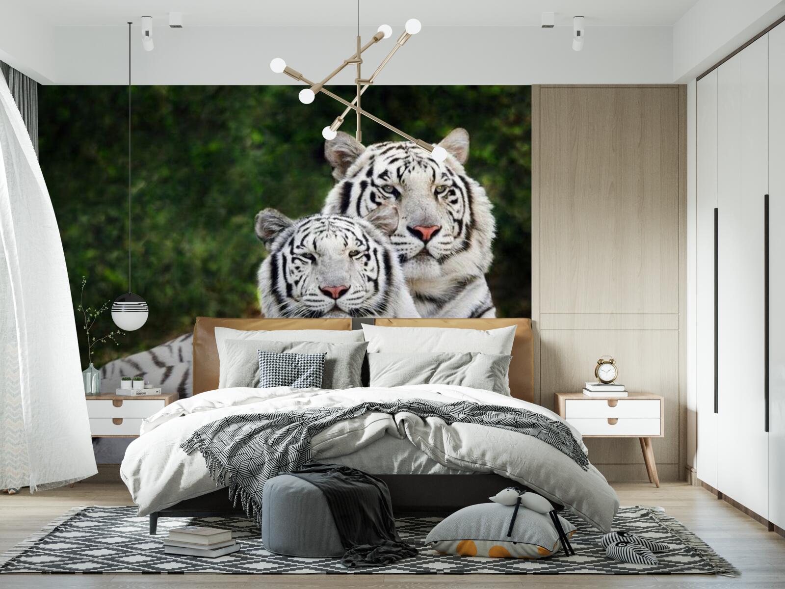 Papier peint dans la forêt vivent deux tigres blancs, mariés à des