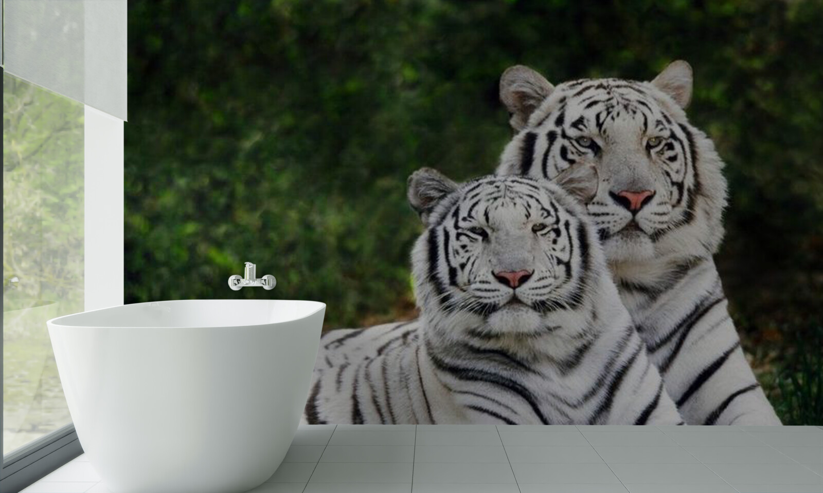 Papier peint dans la forêt vivent deux tigres blancs, mariés à des