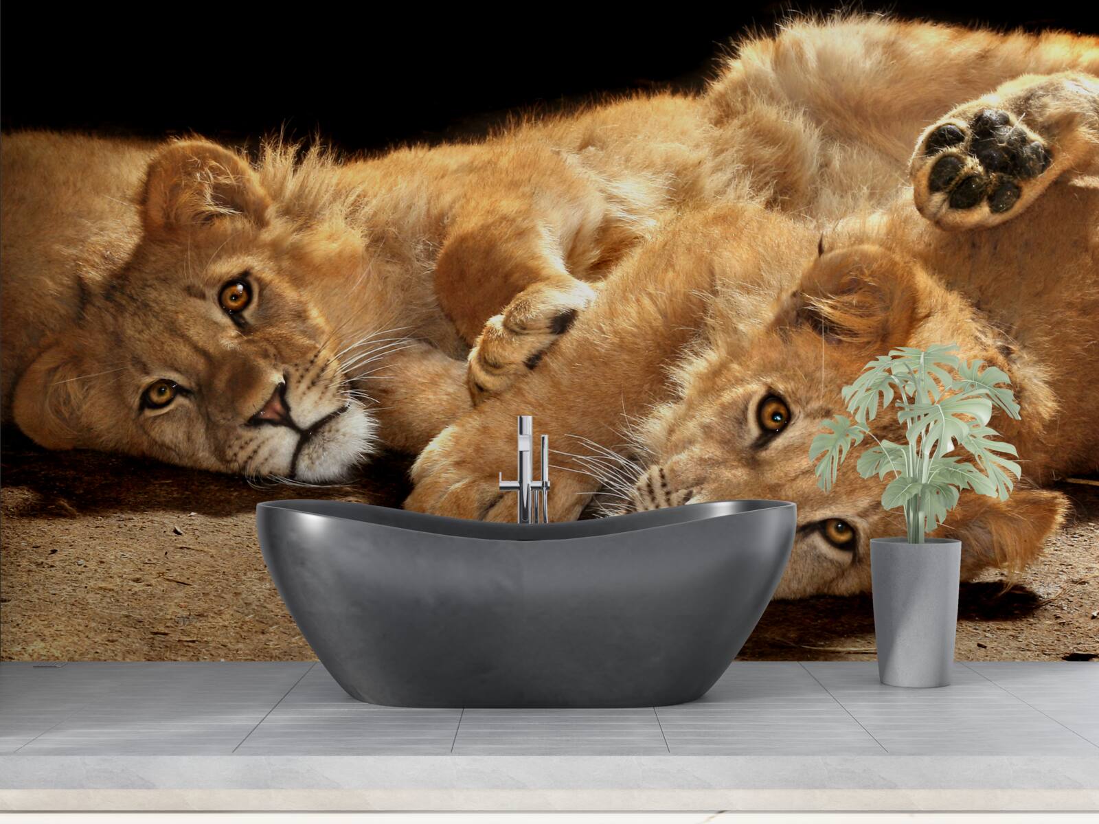 Papier peint de jeunes lions jouent sur le sol