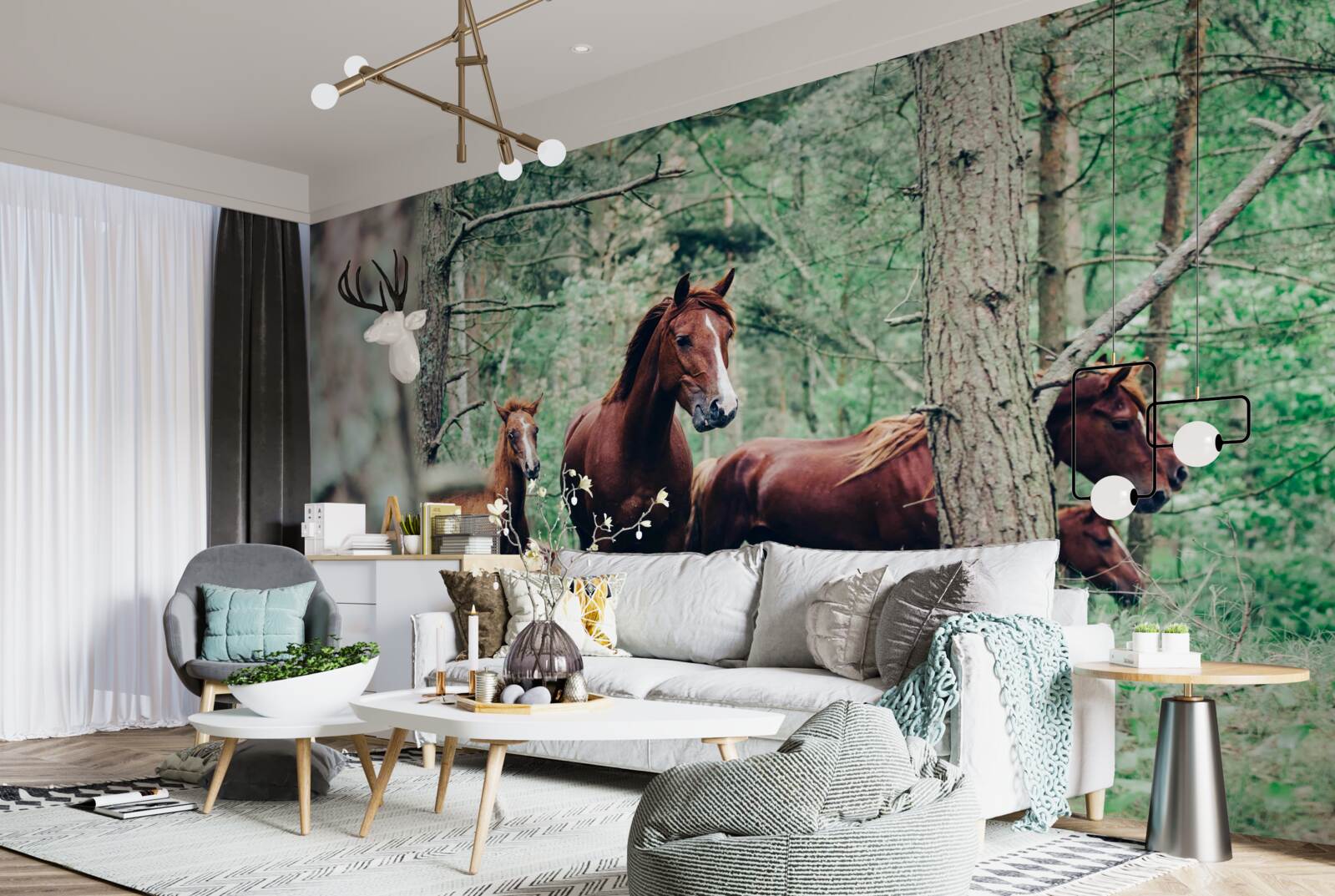 Papier peint promenade des chevaux dans la forêt au printemps