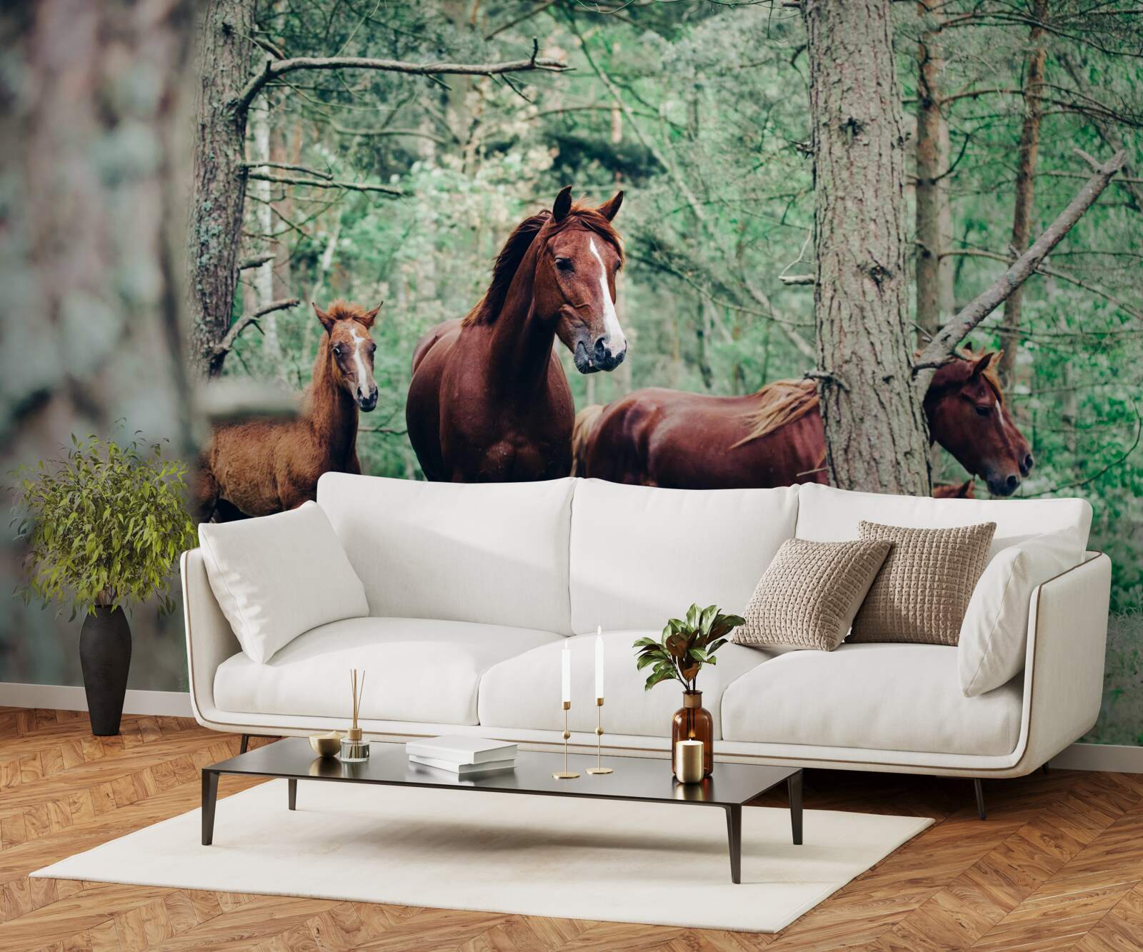 Papier peint promenade des chevaux dans la forêt au printemps