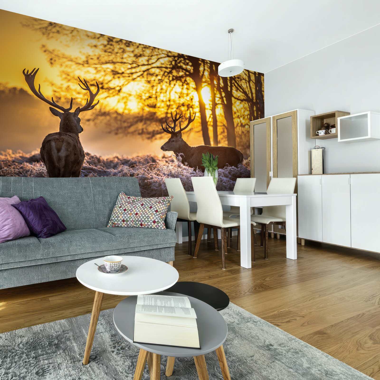 Papier peint le coucher de soleil est accompagné d'un chevreuil adulte